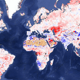 True Land Surface Albedo